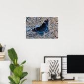 Swallowtail Butterfly op grvel Road Poster (Thuiskantoor)