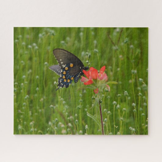 Swallowtail Butterfly op Indian Paintbrush Flower Legpuzzel (Horizontaal)