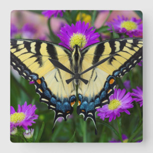 Swallowtail Butterfly op madeliefje Vierkante Klok