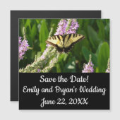 Swallowtail Butterfly op Paarse wilde bloemen (Voorkant / Achterkant)