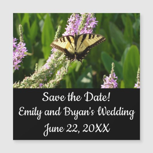 Swallowtail Butterfly op Paarse wilde bloemen (Voorkant)