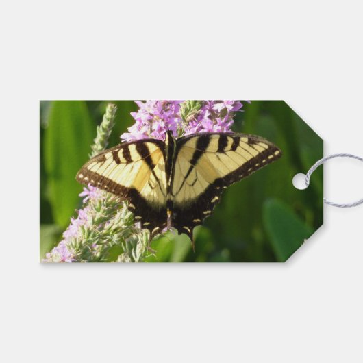 Swallowtail Butterfly op Paarse wilde bloemen Cadeaulabel (Voorkant (Horizontaal))