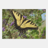 Swallowtail Butterfly op Paarse wilde bloemen Inpakpapier Vel (Voorkant 2)
