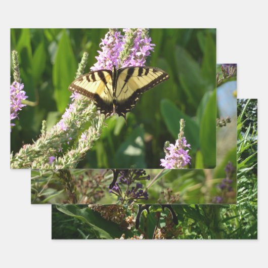 Swallowtail Butterfly op Paarse wilde bloemen Inpakpapier Vel (Set)