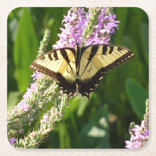 Swallowtail Butterfly op Paarse wilde bloemen Kartonnen Onderzetters (Voorkant)