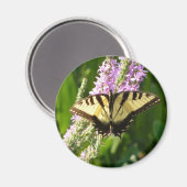 Swallowtail Butterfly op Paarse wilde bloemen Magneet (Voorkant / Achterkant)