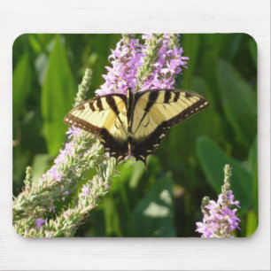Swallowtail Butterfly op Paarse wilde bloemen Muismat
