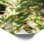 Swallowtail Butterfly op Paarse wilde bloemen Perfect Poster (Hoek)