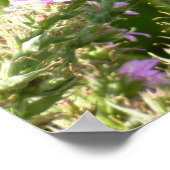 Swallowtail Butterfly op Paarse wilde bloemen Poster (Hoek)