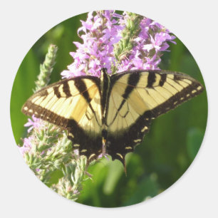 Swallowtail Butterfly op Paarse wilde bloemen Ronde Sticker
