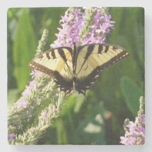 Swallowtail Butterfly op Paarse wilde bloemen Stenen Onderzetter