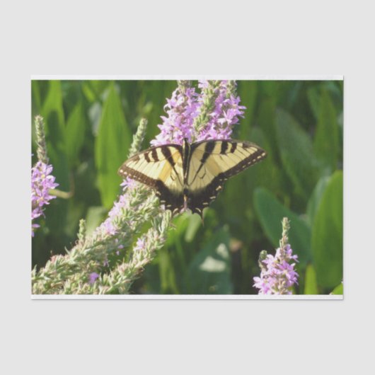 Swallowtail Butterfly op Paarse wilde bloemen Tissuepapier (Voorkant)