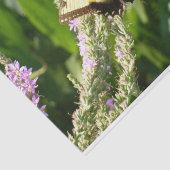 Swallowtail Butterfly op Paarse wilde bloemen Tissuepapier (Detail)