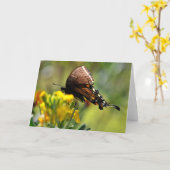 Swallowtail Butterfly op Wildflower Note Kaart (Gele Bloem)