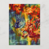 Swallowtail Butterfly:Postcard Briefkaart (Voorkant)