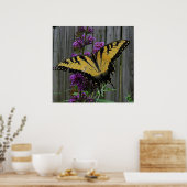 Swallowtail Butterfly Poster (Keuken)