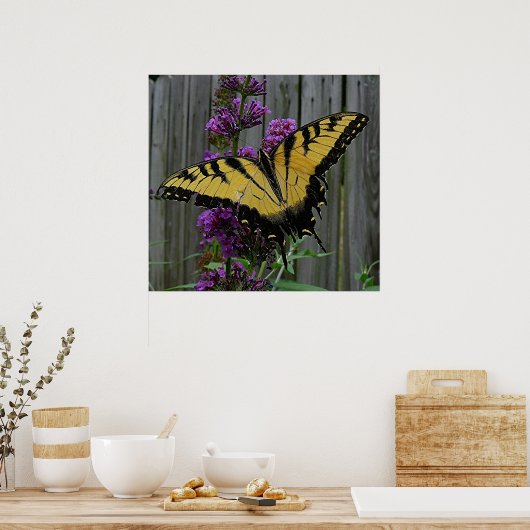 Swallowtail Butterfly Poster (Keuken)