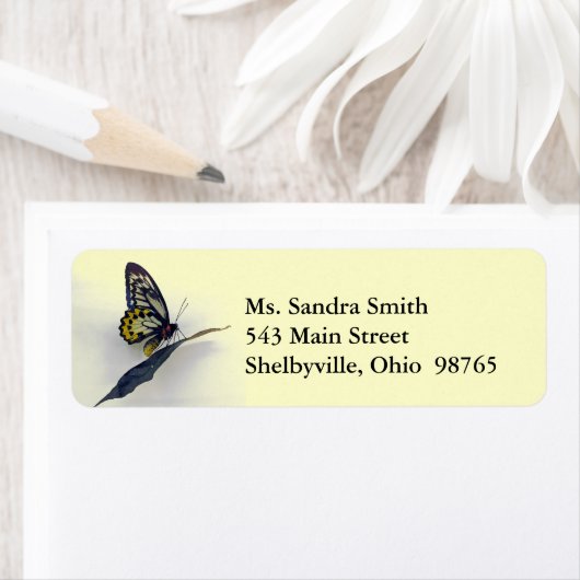 Swallowtail Butterfly Return Address Labels (Insitu)