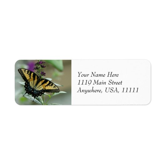 Swallowtail Butterfly Return Address Labels (Voorkant)