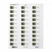 Swallowtail Butterfly Return Address Labels (Full Sheet)