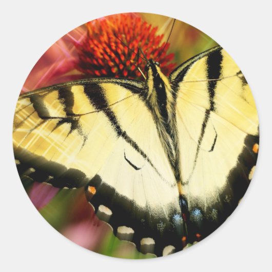 Swallowtail Butterfly Ronde Sticker (Voorkant)