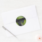 Swallowtail Butterfly Sticker (Envelop)