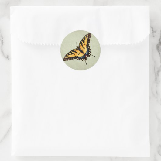 Swallowtail Butterfly Sticker (Tas)