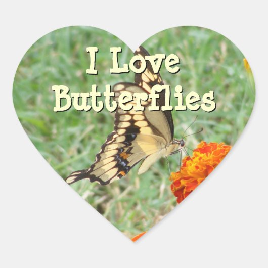 Swallowtail Butterfly Stickers (Voorkant)