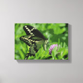 Swallowtail Butterfly Stretched Canvas Print (Voorkant)