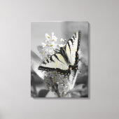 Swallowtail Butterfly Stretched Canvas Print (Voorkant)