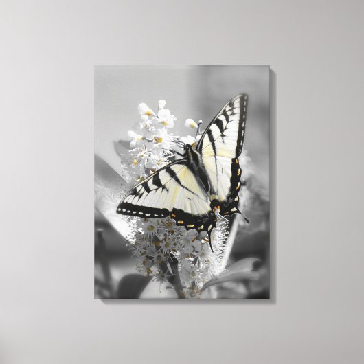 Swallowtail Butterfly Stretched Canvas Print (Voorkant)