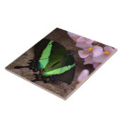 Swallowtail Butterfly Tegel Tegeltje (Zijkant)