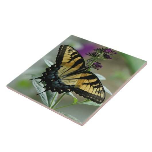 Swallowtail Butterfly Tile Tegeltje (Zijkant)