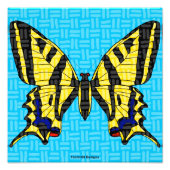 Swallowtail - Fotoprint Foto Afdruk (Voorkant)