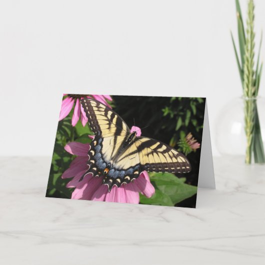 Swallowtail op Echinacea Kaart (Voorkant)