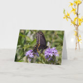 Swallowtail op het Ijzerkruid van de Prairie Kaart (Gele Bloem)