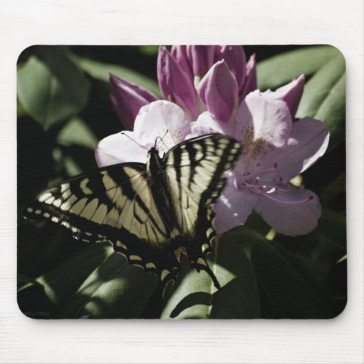 Swallowtail & Rhododendron Mousepad Muismat (Voorkant)