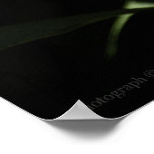 Swallowtail & Rhododendron Print (Hoek)