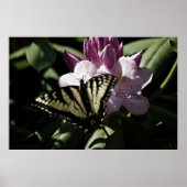 Swallowtail & Rhododendron Print (Voorkant)