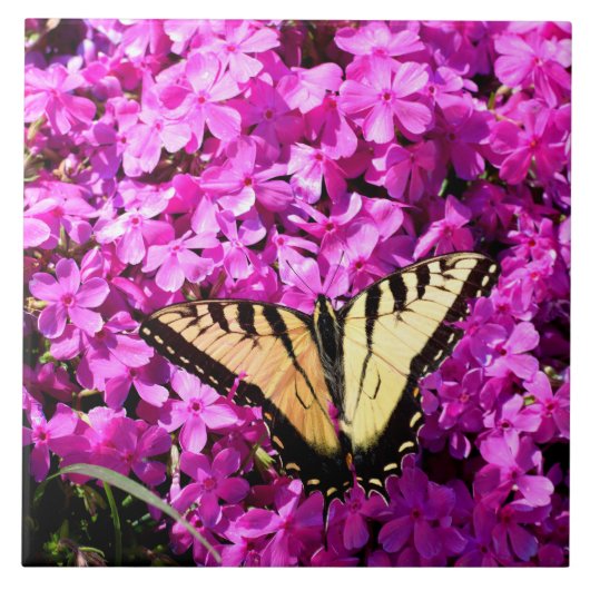 Swallowtail vlinder bij bloembed tegeltje (Voorkant)