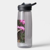 Swallowtail Vlinder Natuur Foto Waterfles (Links)