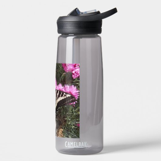 Swallowtail Vlinder Natuur Foto Waterfles (Links)