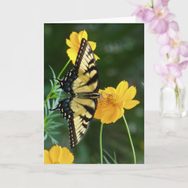 Swallowtail vlinder op gele kosmos bloem kaart