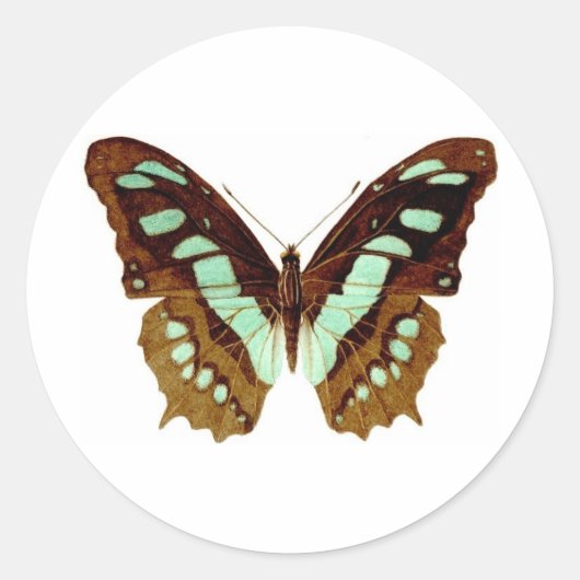 Swallowtail vlinder tekening ronde sticker (Voorkant)