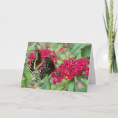 Swallowtail vlinders op rode penta bloemen kaart (Voorkant)