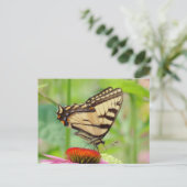Swallowtail World Briefkaart (Staand voorkant)