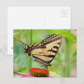 Swallowtail World Briefkaart (Voorkant / Achterkant)
