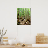 Swamp Cypress Trees Forest Poster (Keuken)