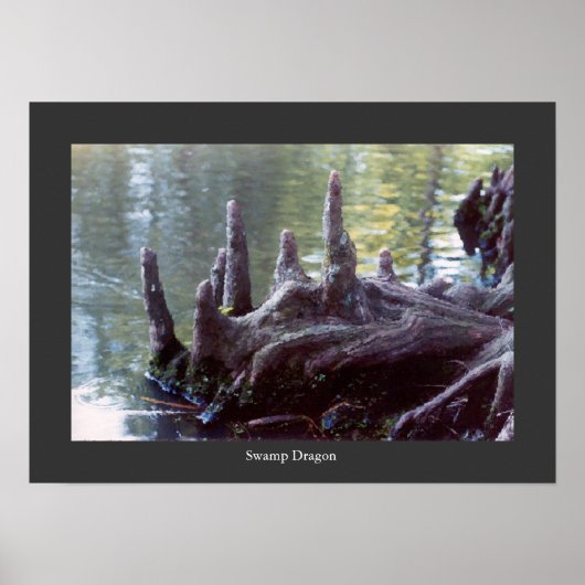 Swamp Dragon Poster (Voorkant)