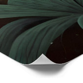 Swamp Forest Wild Tiger Vintage Poster (Hoek)